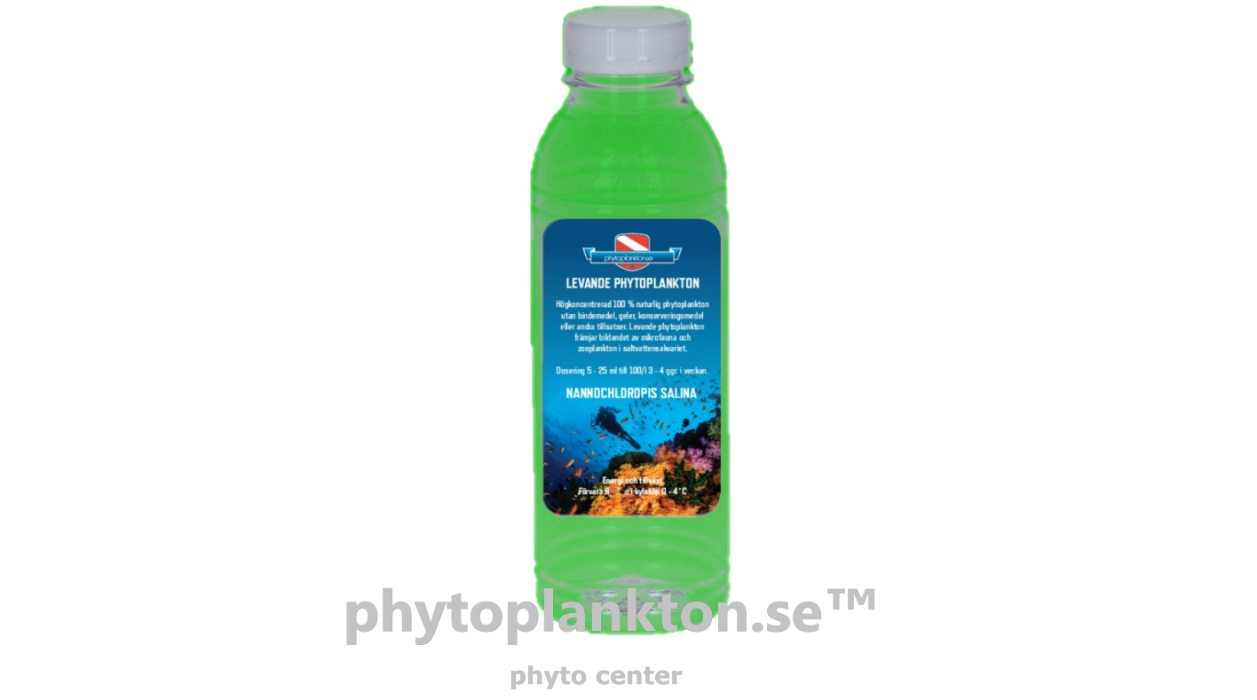 Nannochloropsis salina