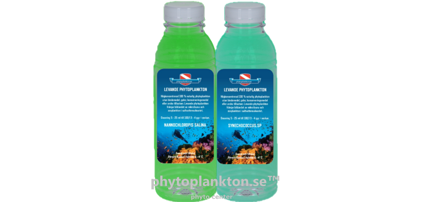 ① N.  salina  ② Synechococcus.sp